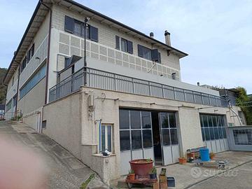 Industriale/Artigianale a Amelia