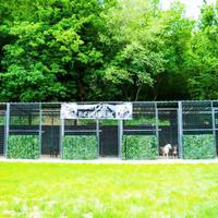 box cani kennel 