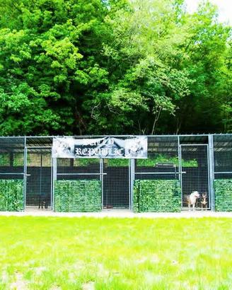 box cani kennel 