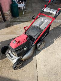 Tagliaerba perfettamente funzionante