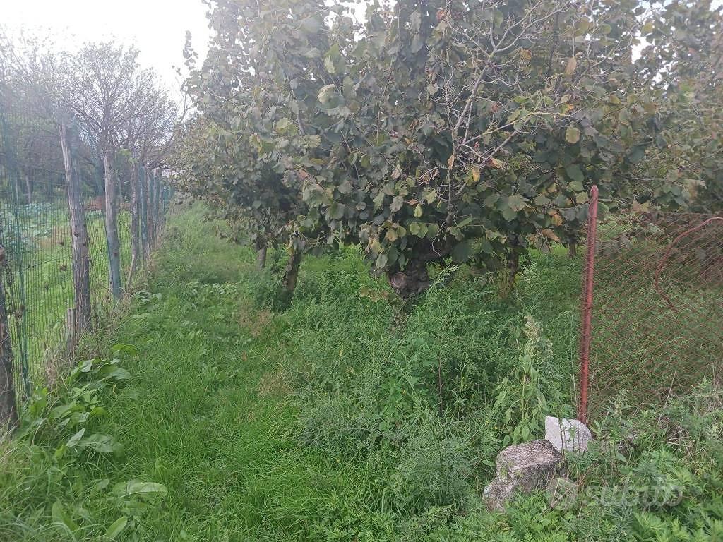 Terreno di 800 m² a Mercato San Severino - Vista 4