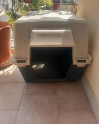 Casetta per cani