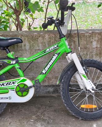 Bici MTB