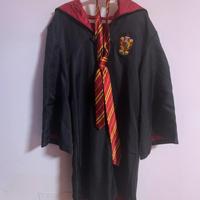 Costume Harry Potter