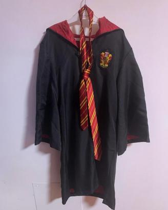 Costume Harry Potter