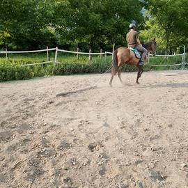 Cavallo