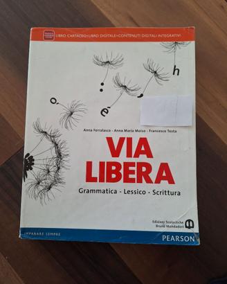 VIA LIBERA Grammatica lessico scrittura