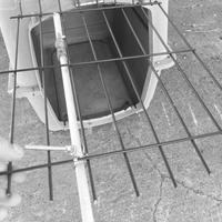 Trasportino cani grande taglia