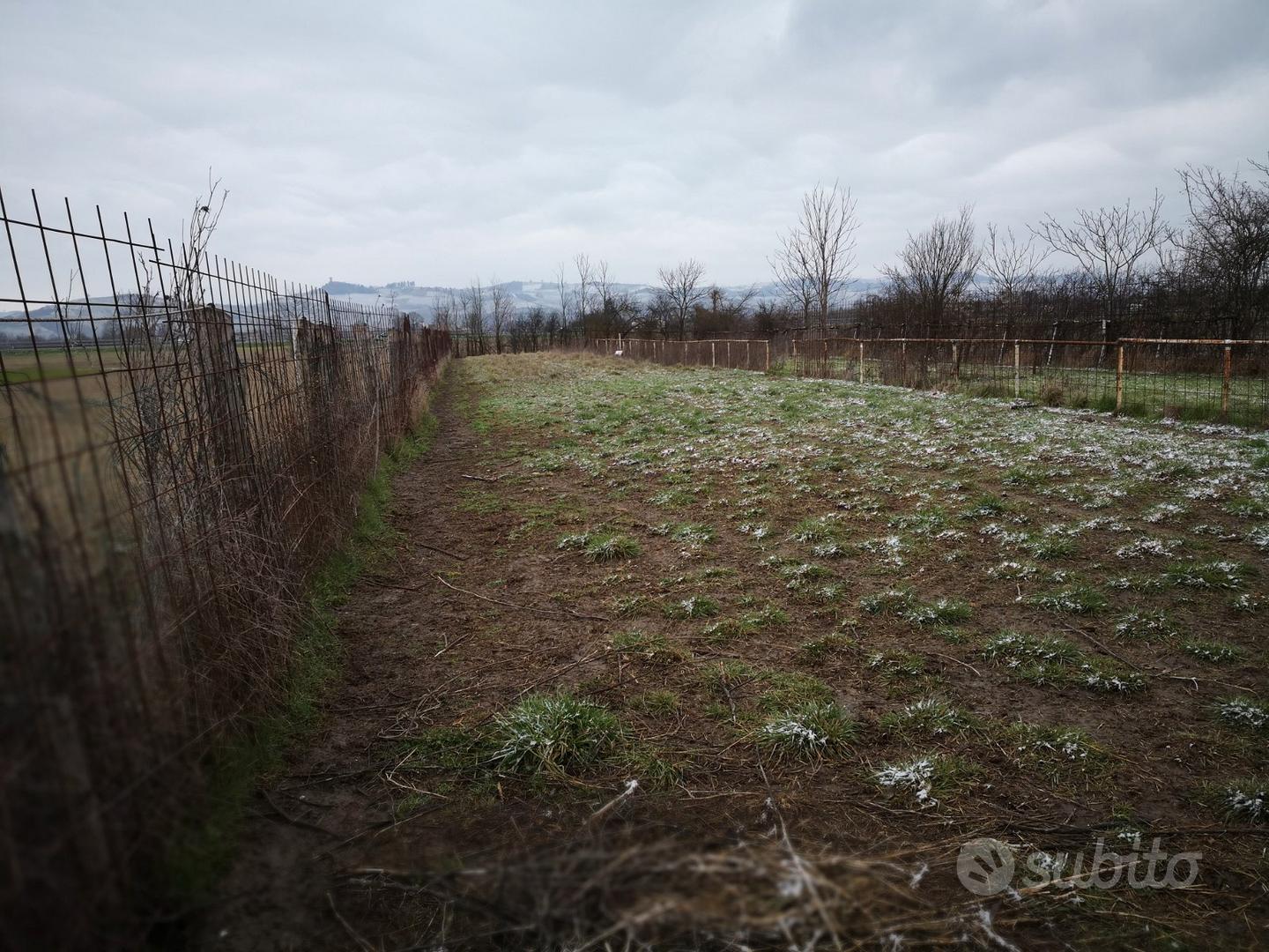 Terreno 2200 mq con tettoia e pozzo - Vista 3