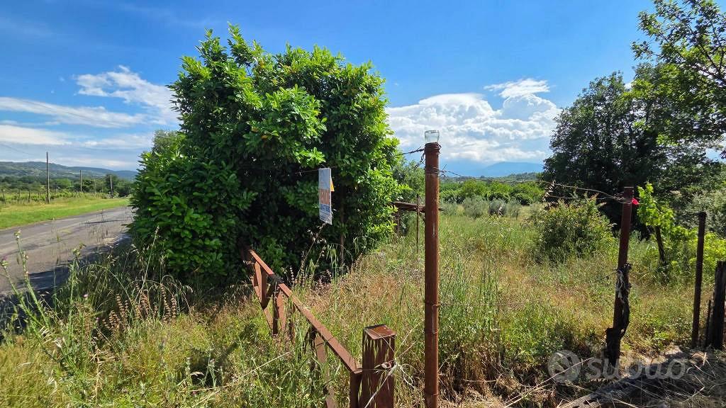 Terreno di 3000 m² a Piglio - Altro