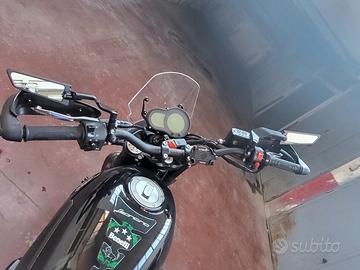 Benelli Leoncino 500