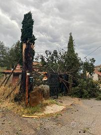grande quantità di legna. Nepi