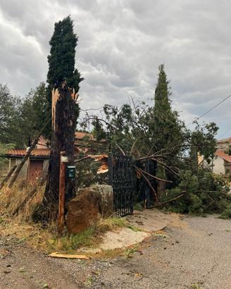 grande quantità di legna. Nepi