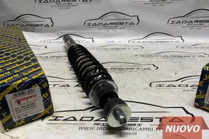 Ammortizzatore Ant Chatenet Barooder C101.18.015