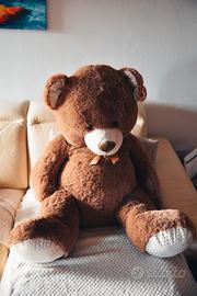 Orso peluche "Ami Plush" 
