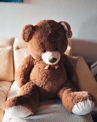 Orso peluche "Ami Plush" 