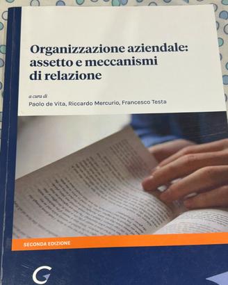 Libro organizzazione aziendale e statistica