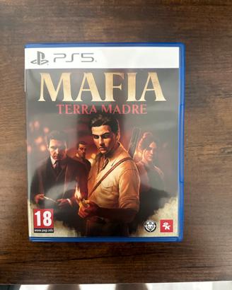 Gioco ps5