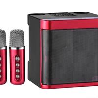 Karaoke con 2 microfoni 