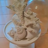 Conchiglia / complemento d'arredo