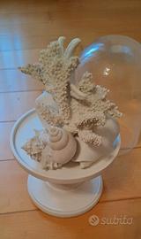 Conchiglia / complemento d'arredo