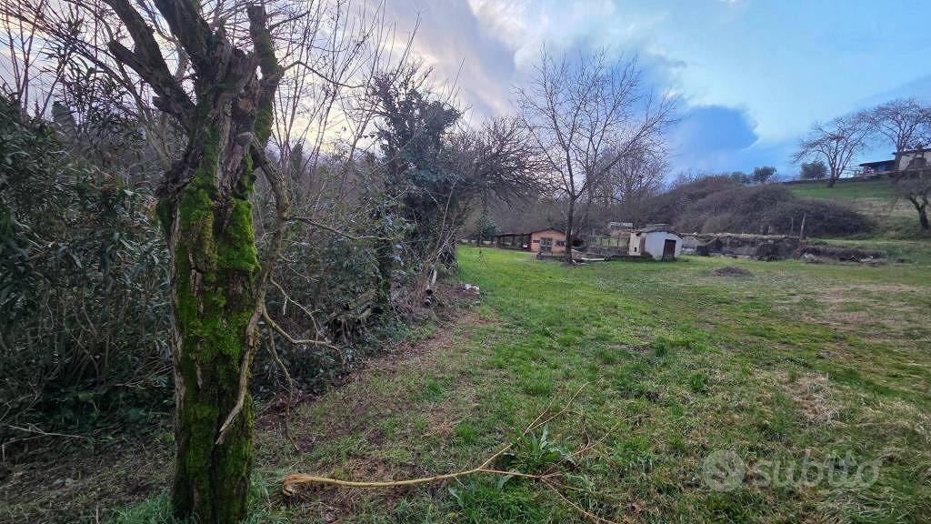 Terreno di 12000 m² a Genazzano - Altro