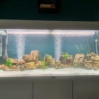 Acquario juwel 240 