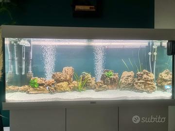 Acquario juwel 240 