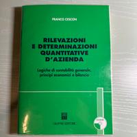 Rilevazioni determinazioni quantitative d’azienda