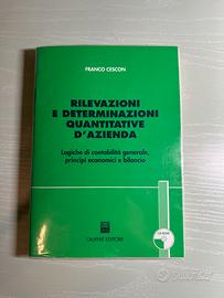 Rilevazioni determinazioni quantitative d’azienda