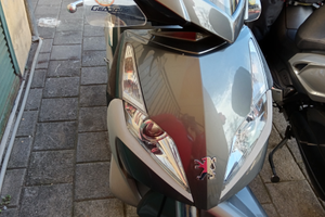 Peugeot Geopolis 300