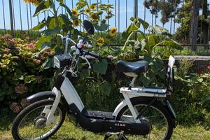 piaggio ciao px