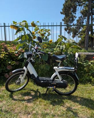 piaggio ciao px