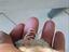 Immagine 6