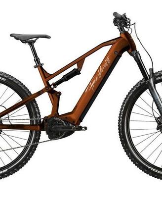 E-MTB FULL FRANZ KNEISSL FS03 28