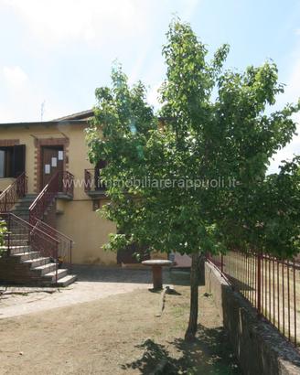 VS17 - Trequanda villetta a schiera capote