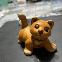 Gatto thun