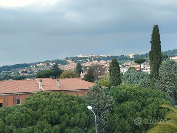 Rif.16 Albano Laziale Mansarda e Posto Auto