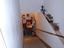 Immagine 25