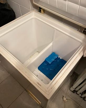 Pozzetto congelatore professionale