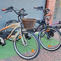 CRUISER MOTORE 80NM COPPIA BATTERIA 720W-20 Ah