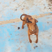 Sono l'ultima femminuccia rimasta ?