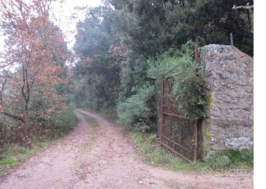 Immobile in asta di 22900 m² a Tempio Pausania - Vista 5