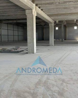Immobile di 1300 m² a Vitulazio