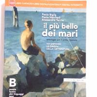Libri scolastici superiori cod.ISBN 9788839522597