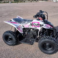 Mini quad