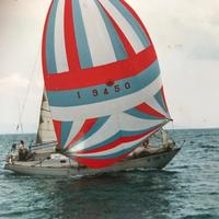 Cabinato a vela 11,50