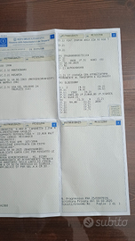 Motorhome Arca America 92. 6 posti