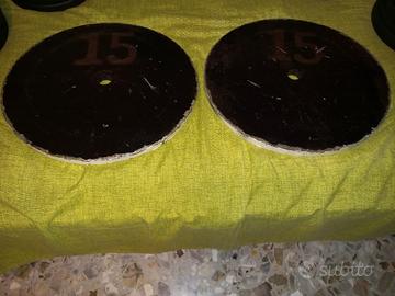 Dischi palestra 15 kg da 28 mm 