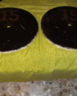 Dischi palestra 15 kg da 28 mm 